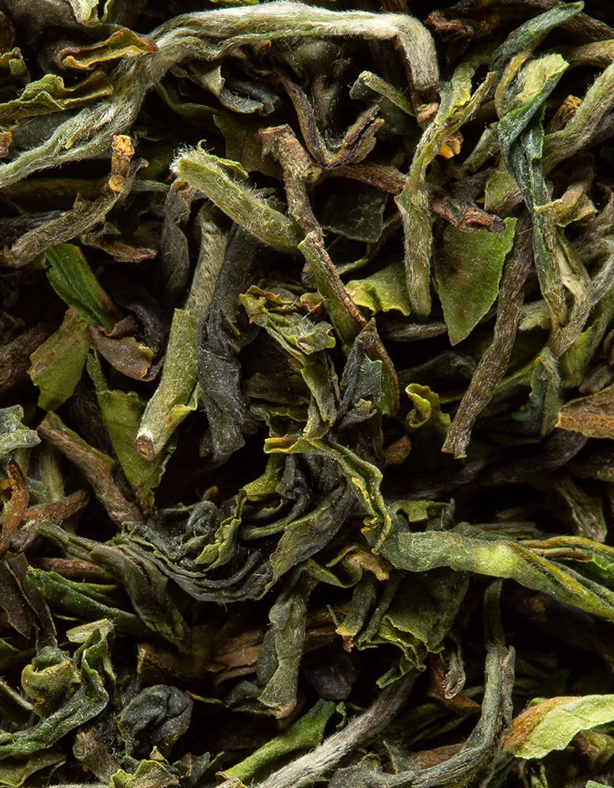 Store Darjeeling 1St Flush Gopaldhara F.T.G.F.O.P. Grand Cru Végétale