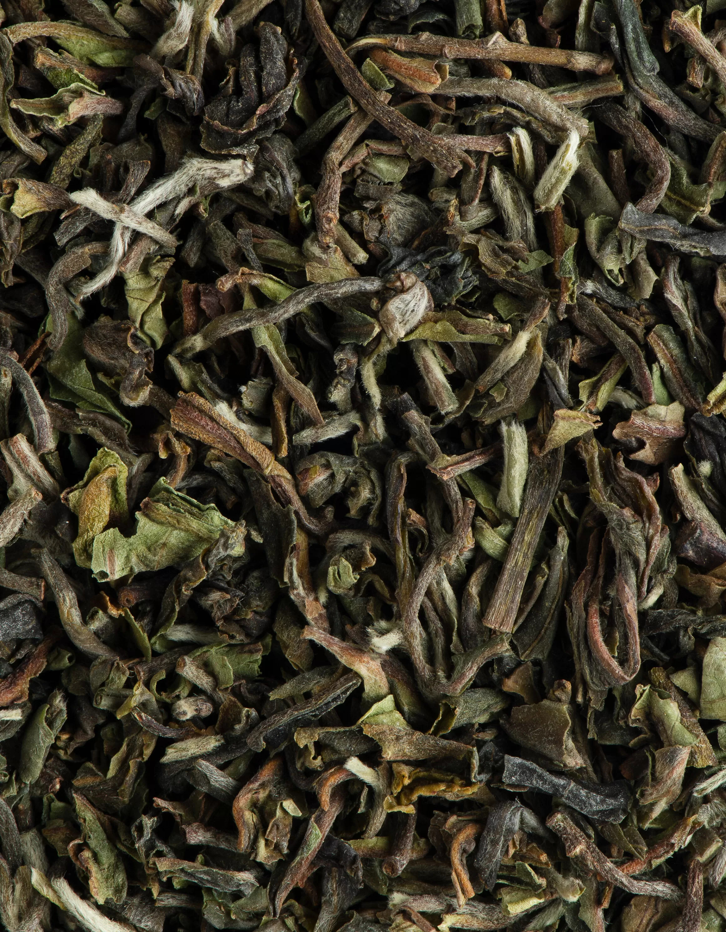 Discount Darjeeling Phuguri 2Nd Flush T.G.F.O.P. Fruitée