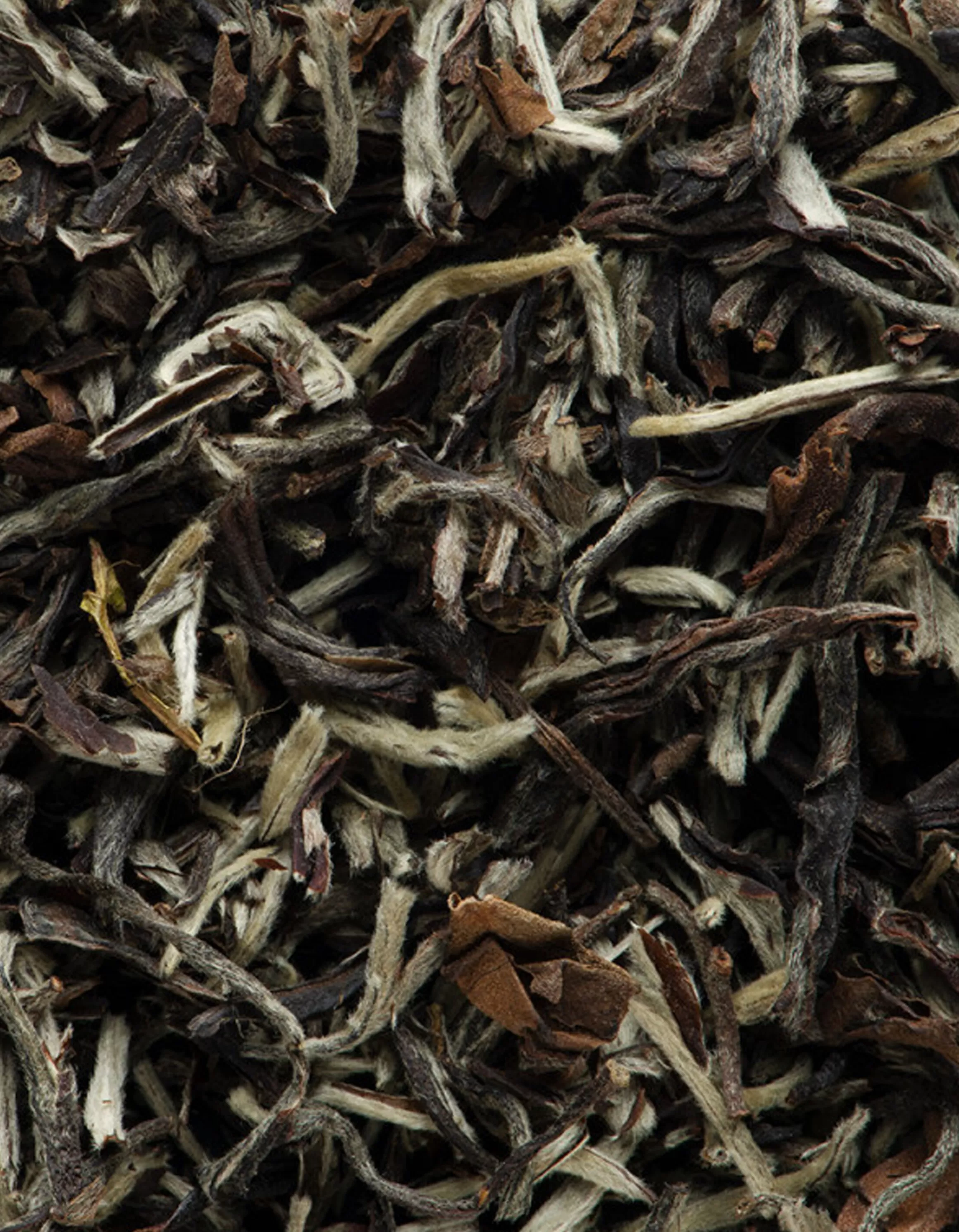 Sale Singbulli Darjeeling 2Nd Flush T.G.F.O.P. Fruitée