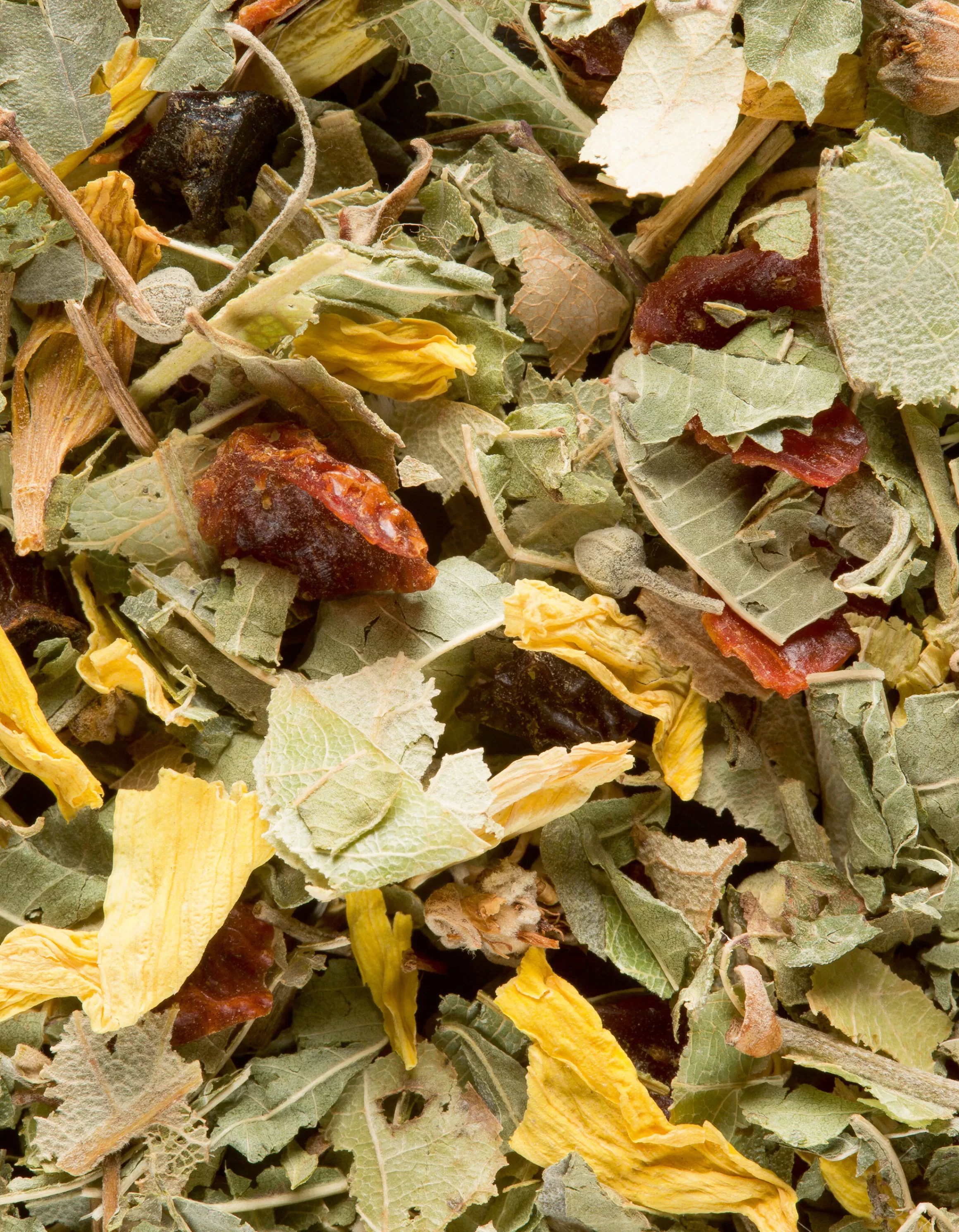 Outlet Tisane De La Reyne Fruitée